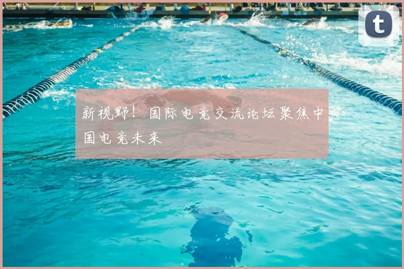 新视野！国际电竞交流论坛聚焦中国电竞未来