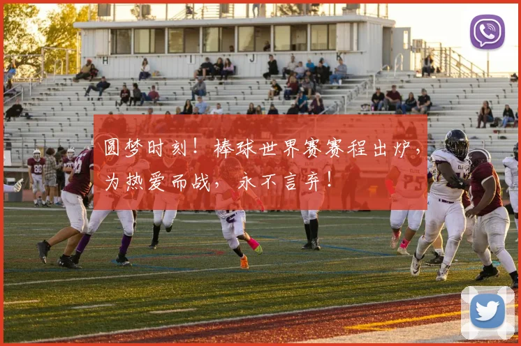 圆梦时刻！棒球世界赛赛程出炉，为热爱而战，永不言弃！